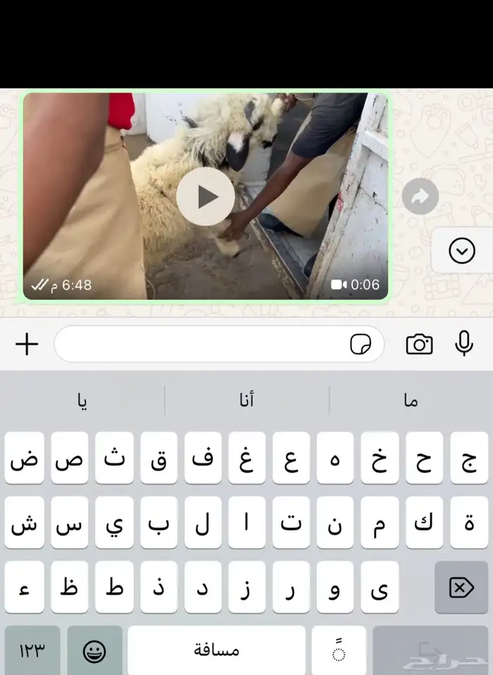 خرفان نعيم تيوس 1