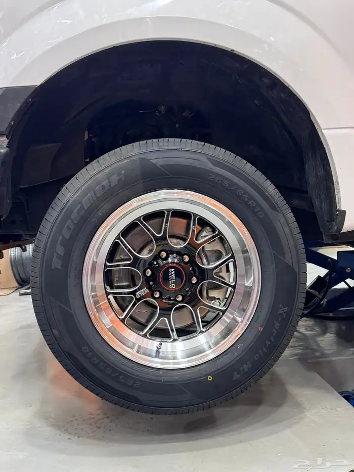 جنوط ويلدات 0