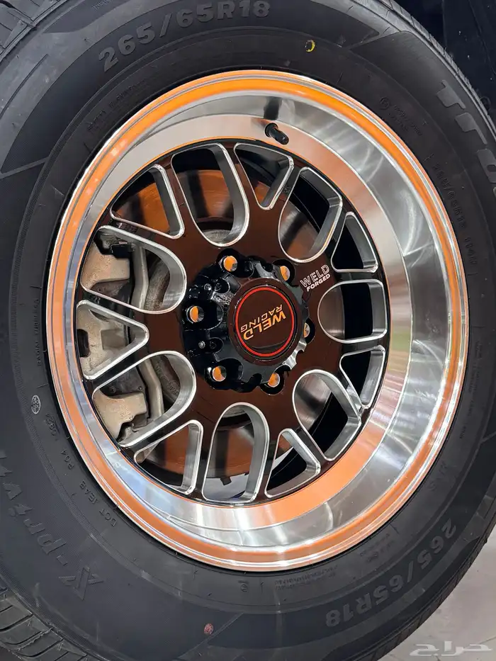 جنوط ويلدات 3