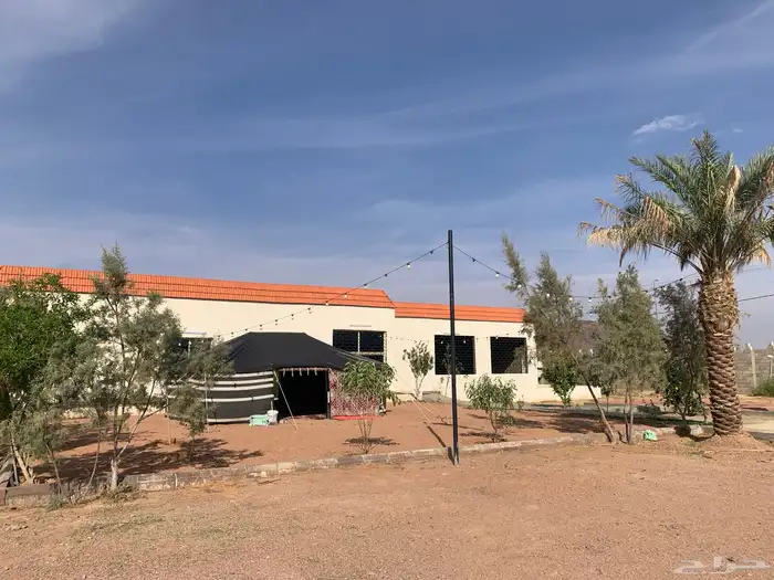 ايجار يومي350 9