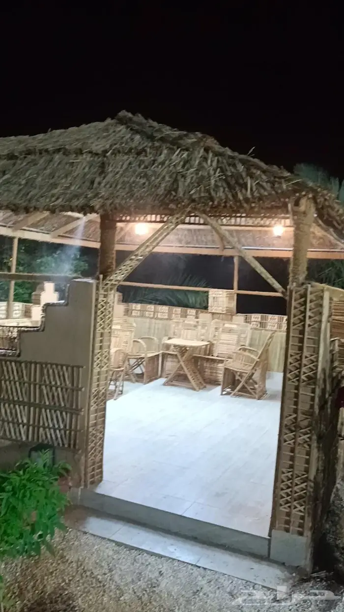 مظلات وسواتر سعف النخيل 3