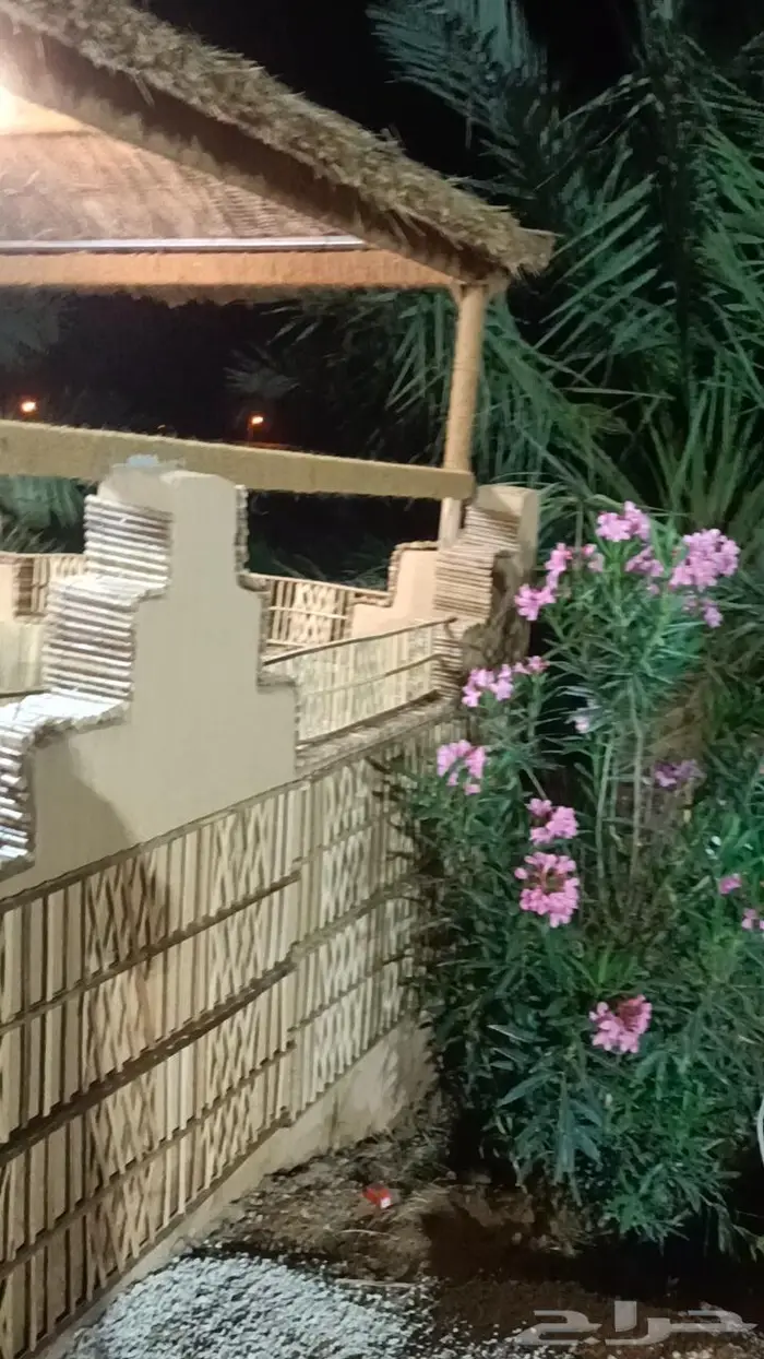 مظلات وسواتر سعف النخيل 5