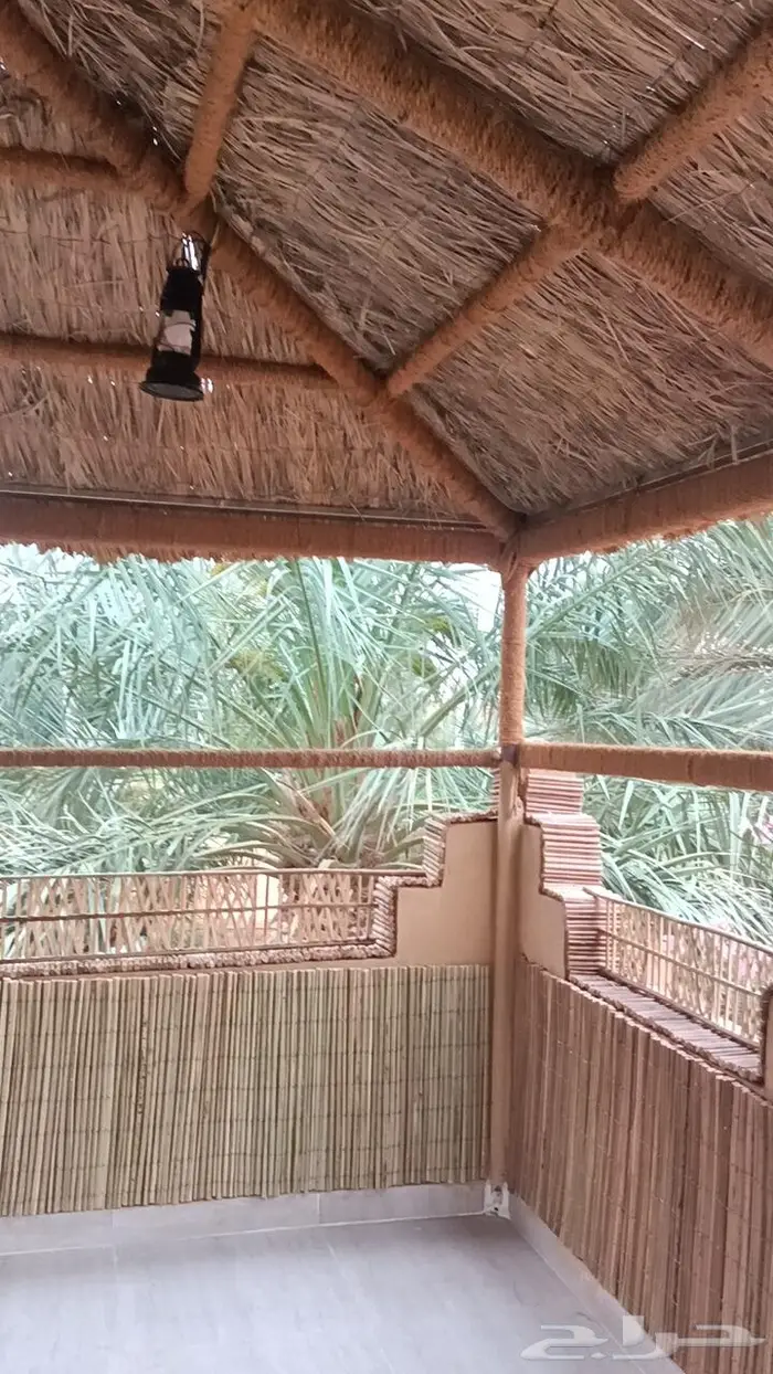 مظلات وسواتر سعف النخيل 8