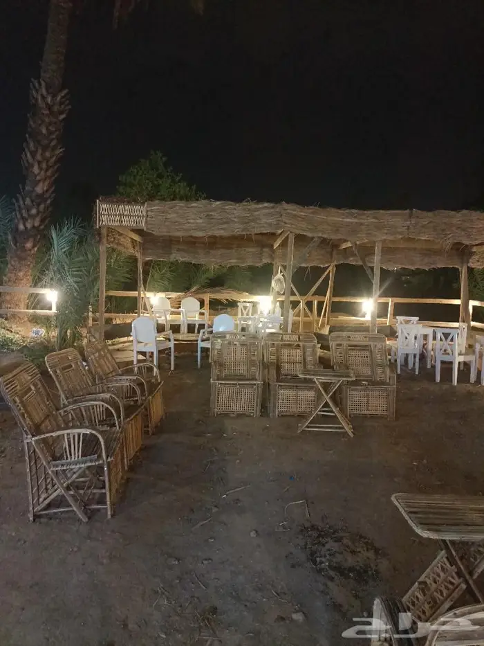 مظلات وسواتر سعف النخيل 22