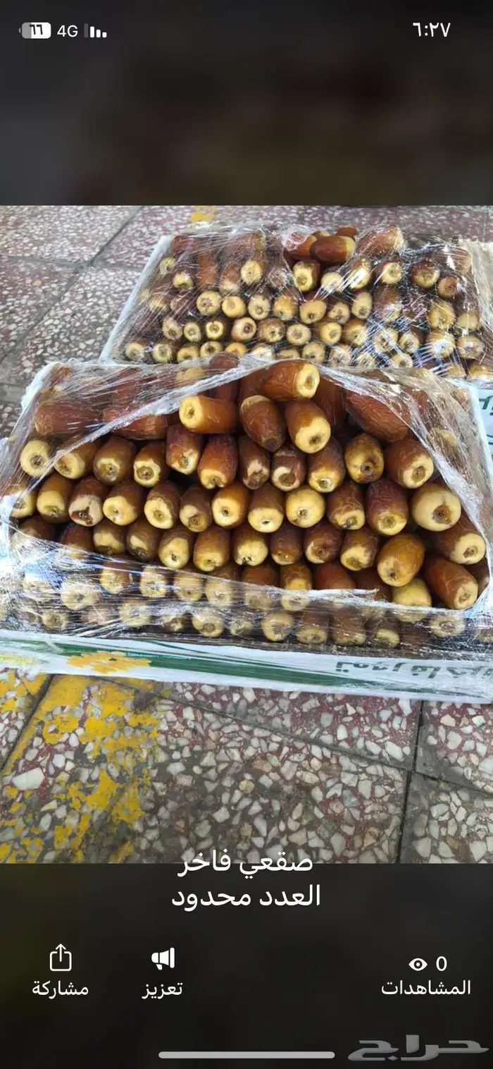 صقعي طيب 3