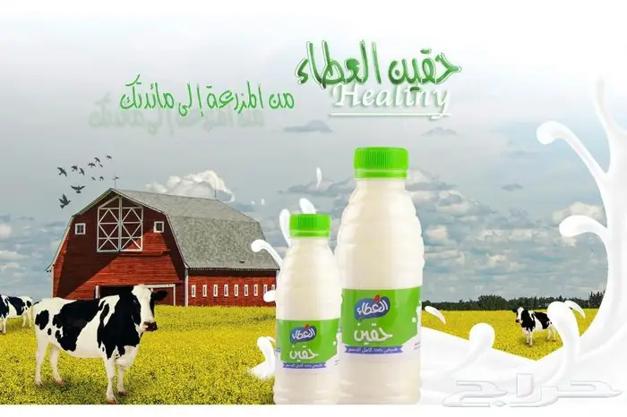 مصمم جرافيك و جميع التصميمات 8