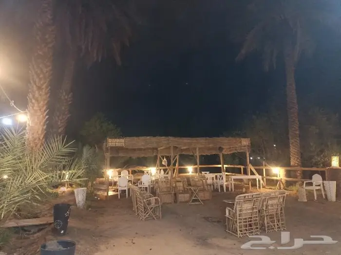 مظلات وسواتر سعف النخيل 10