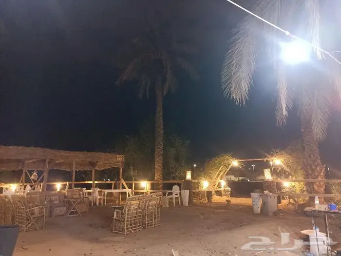 مظلات وسواتر سعف النخيل 11