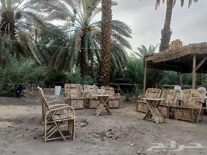 مظلات وسواتر سعف النخيل 21