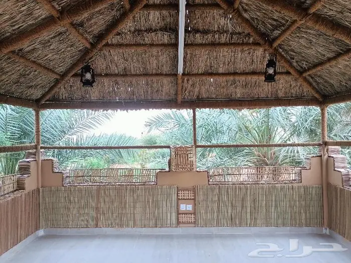 مظلات وسواتر سعف النخيل 23