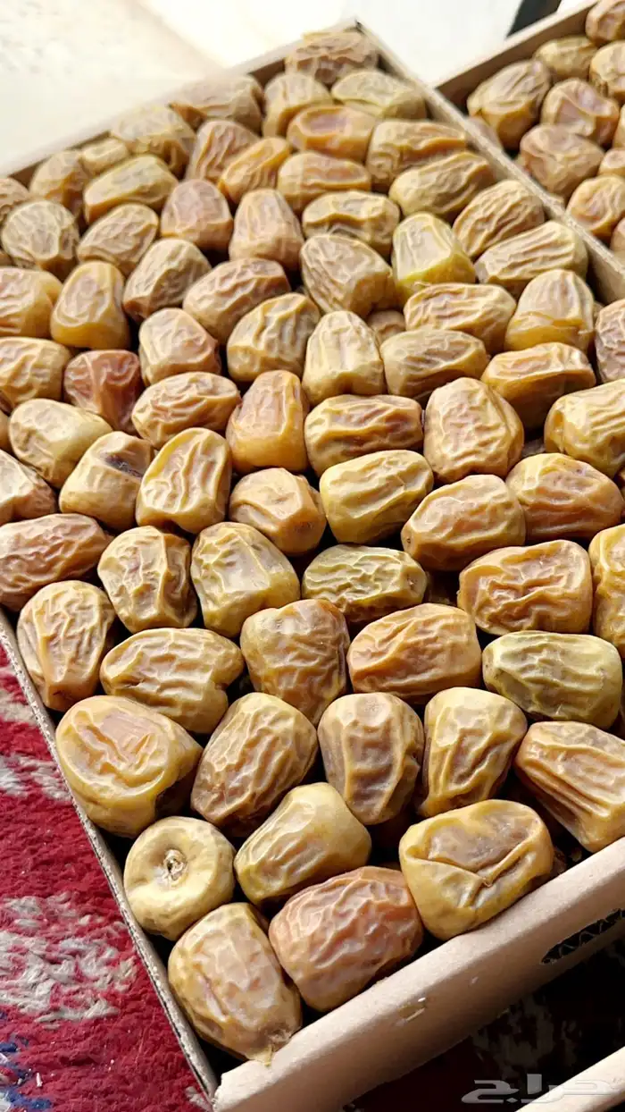 تمر سكري فاخر وجديد( تم البيع ) 0