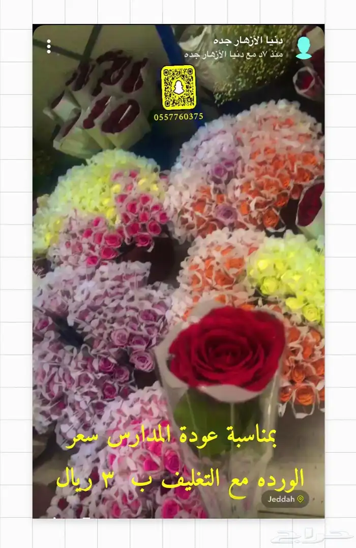 دنيا الأزهار لبيع الفل البلدي والورود الطبيعيه 14