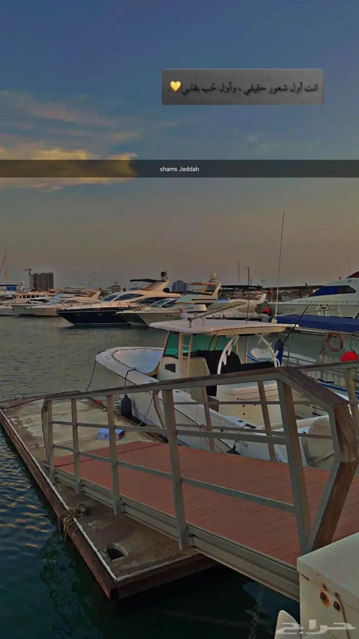 رحلات بحرية ( جزيرة بياضة   صيد   نزهة   حفلات ) 3