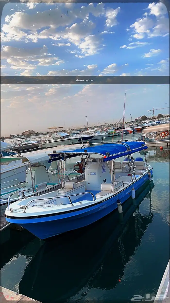 رحلات بحرية ( جزيرة بياضة   صيد   نزهة   حفلات ) 27