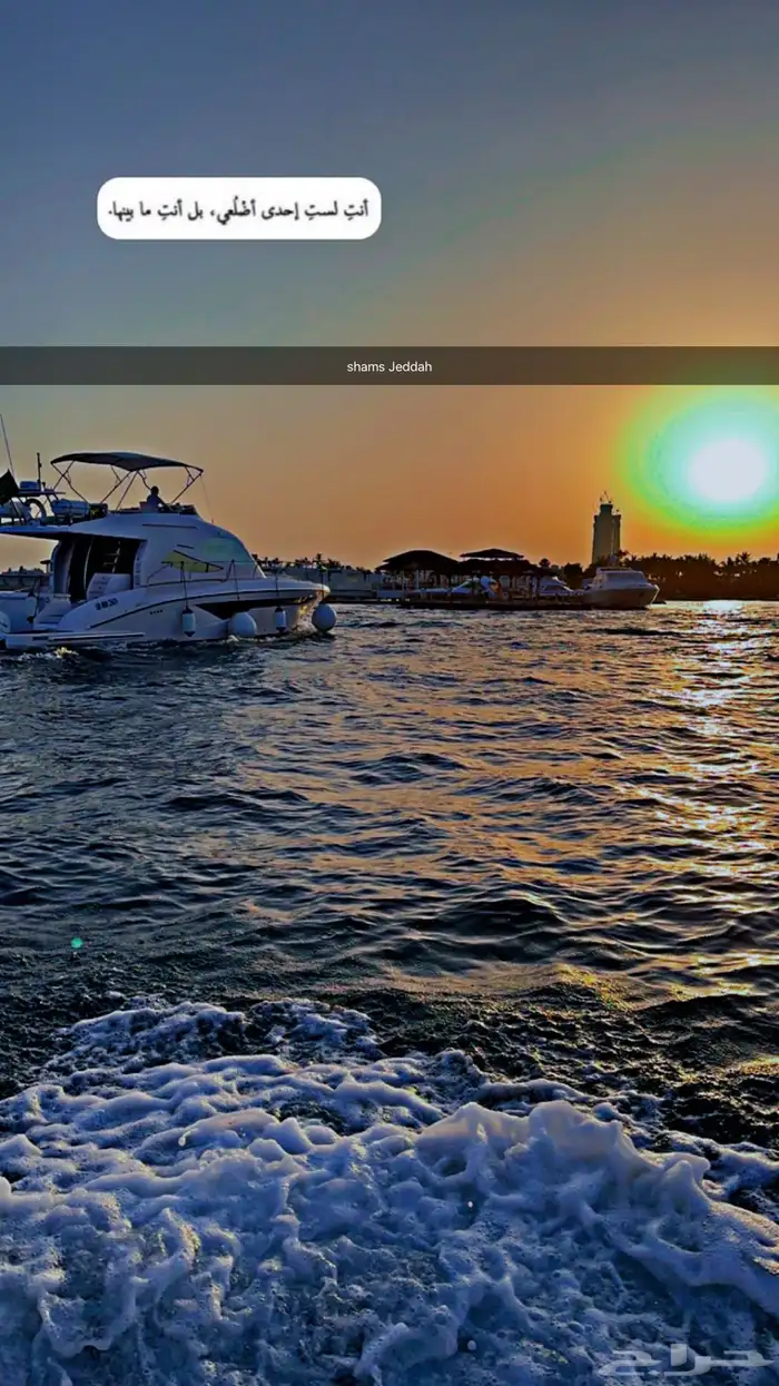 رحلات بحرية ( جزيرة بياضة   صيد   نزهة   حفلات ) 31