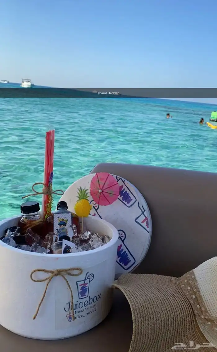 رحلات بحرية ( جزيرة بياضة   صيد   نزهة   حفلات ) 29