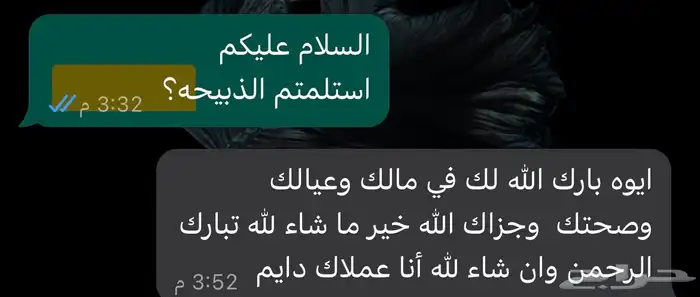 طليان سواكن وحريات وتيوس محايليه ذبايح 8