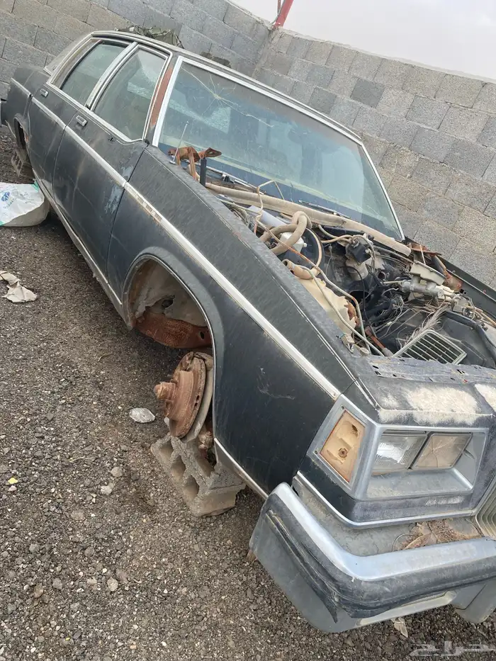 كابرس وصابونه. وبيوك للبيع قطع غيار 28