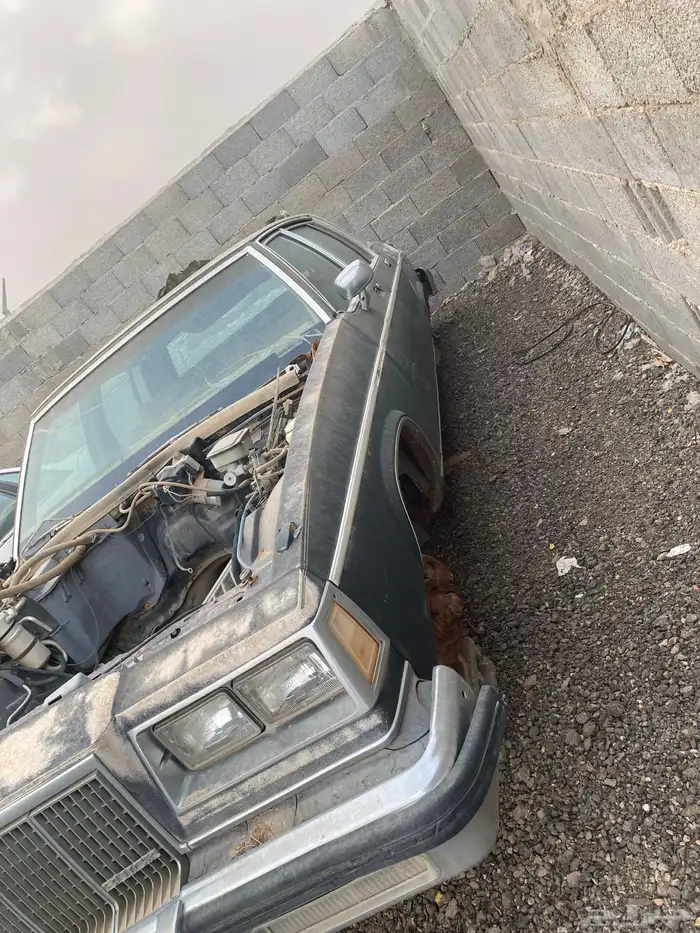 كابرس وصابونه. وبيوك للبيع قطع غيار 27
