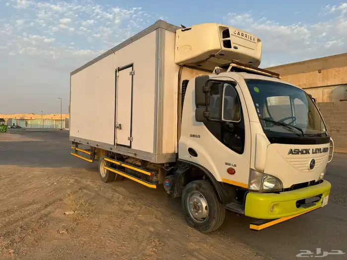 دينا اشوك ليليان هندية الصنع 2020 4