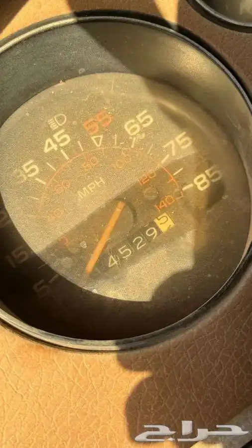 فود ترك شاهي 11