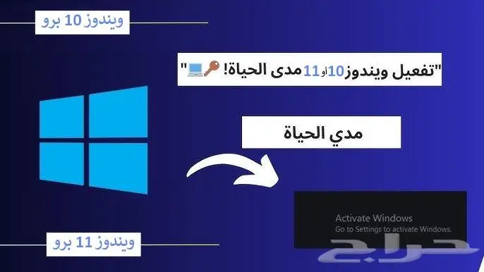 Windows 11 Pro مفتاح مدى الحياة 1