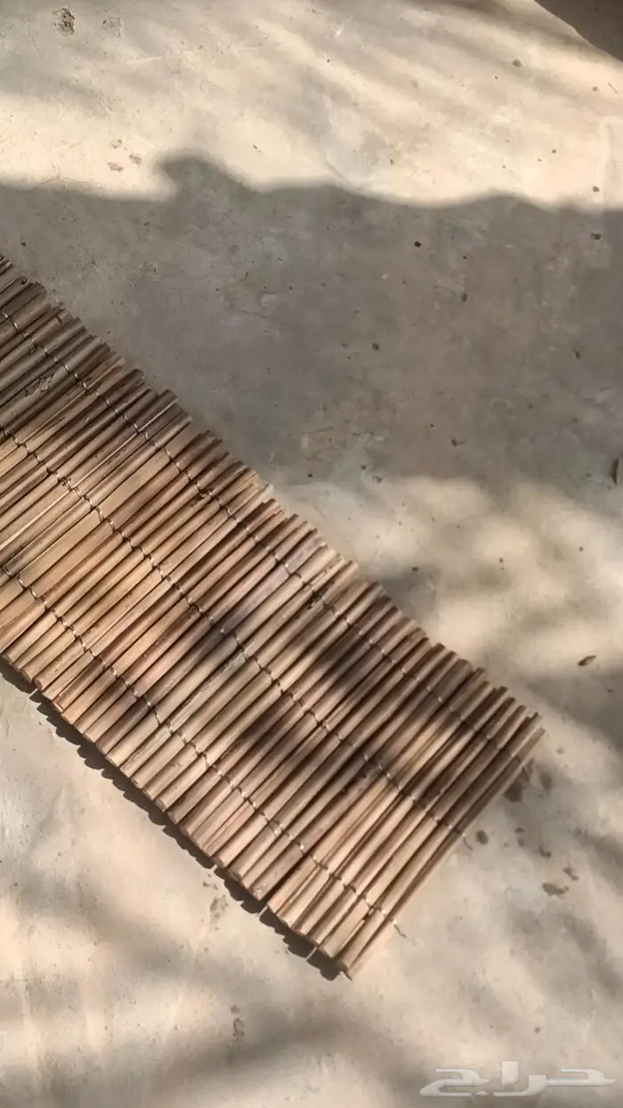 مظلات وسواتر سعف النخيل 31