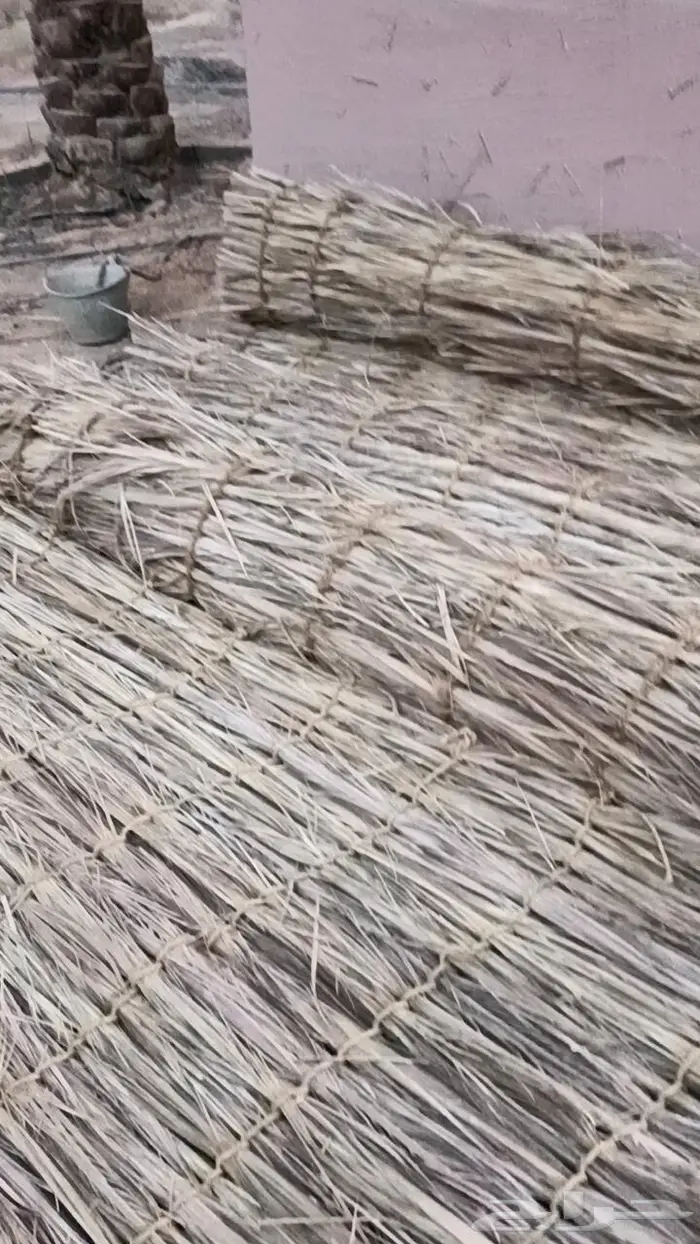 مظلات وسواتر سعف النخيل 57