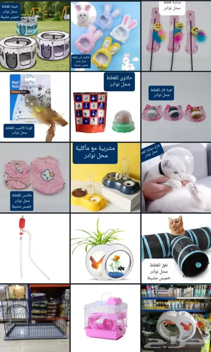 طيور سمك سلاحف ارانب هامستر قطط محل نوادر 1