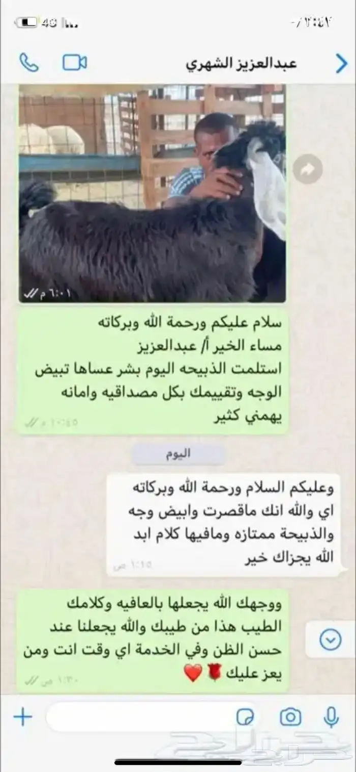 حري وسواكني وتيوس مع الذبح والتوصيل والطبخ راجع التقييمات 93