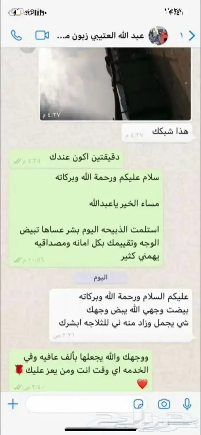 حري وسواكني وتيوس مع الذبح والتوصيل والطبخ راجع التقييمات 44