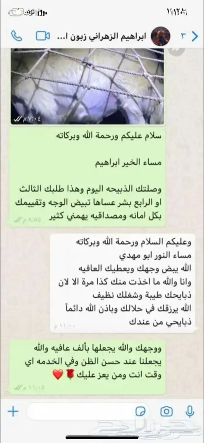 حري وسواكني وتيوس مع الذبح والتوصيل والطبخ راجع التقييمات 41