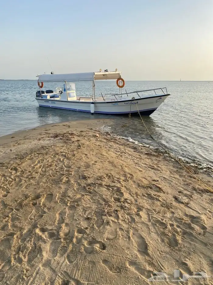 رحلات بحرية ( كوارم ) ثول 4