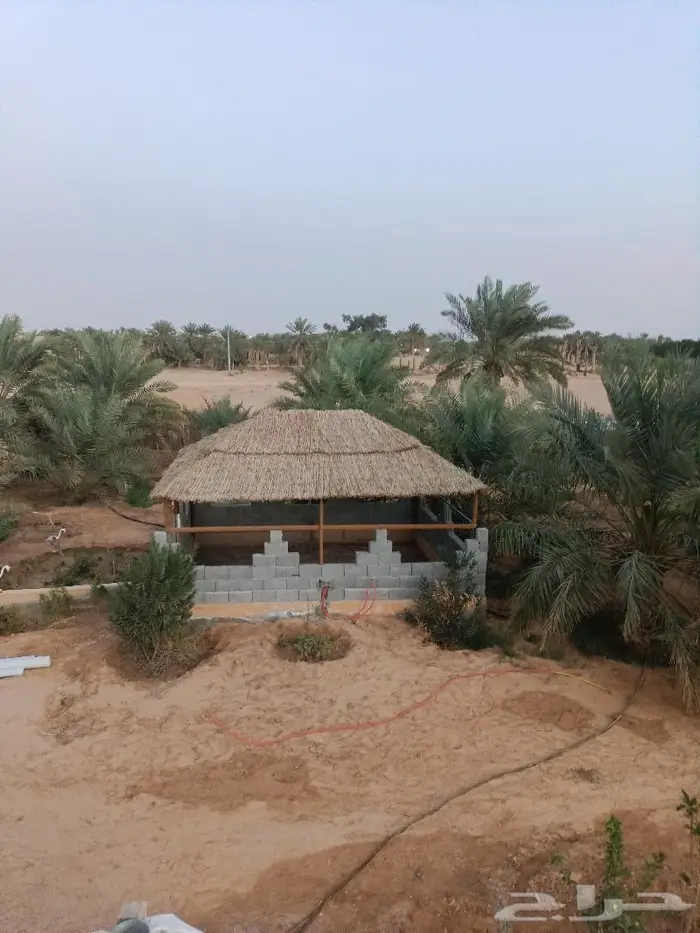 مظلات وسواتر سعف النخيل 24