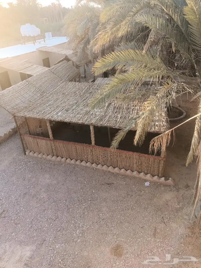 مظلات وسواتر سعف النخيل 35