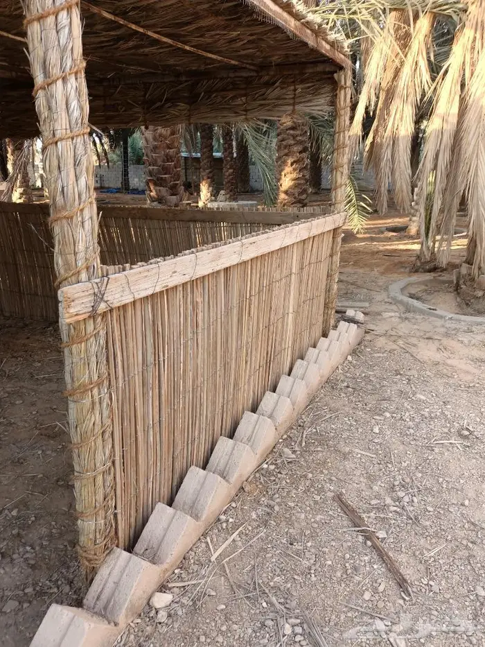 مظلات وسواتر سعف النخيل 41