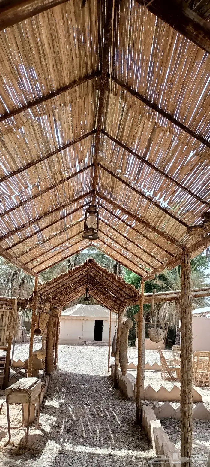 مظلات وسواتر سعف النخيل 52