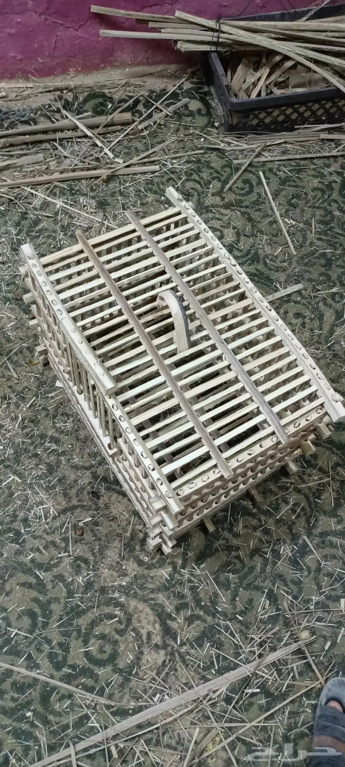 مظلات وسواتر سعف النخيل 55