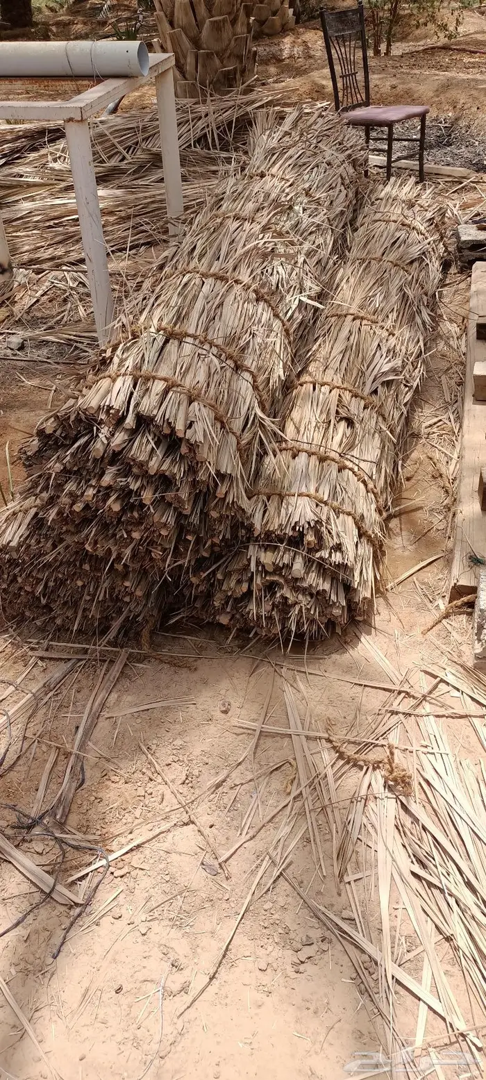 مظلات وسواتر سعف النخيل 48