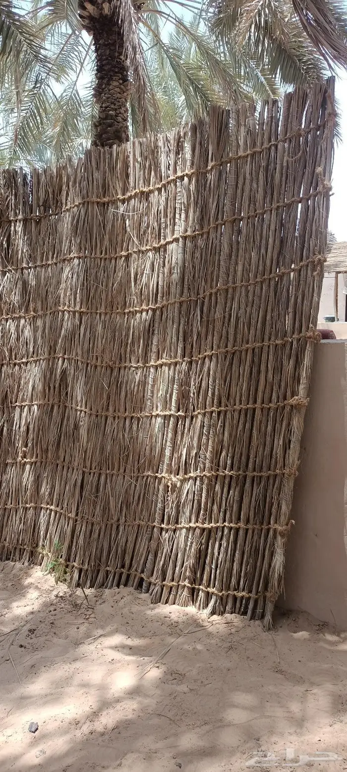 مظلات وسواتر سعف النخيل 60