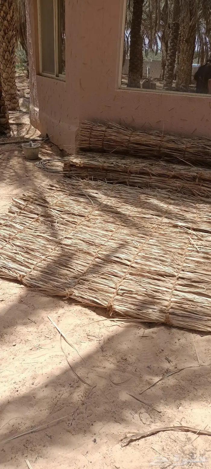 مظلات وسواتر سعف النخيل 61