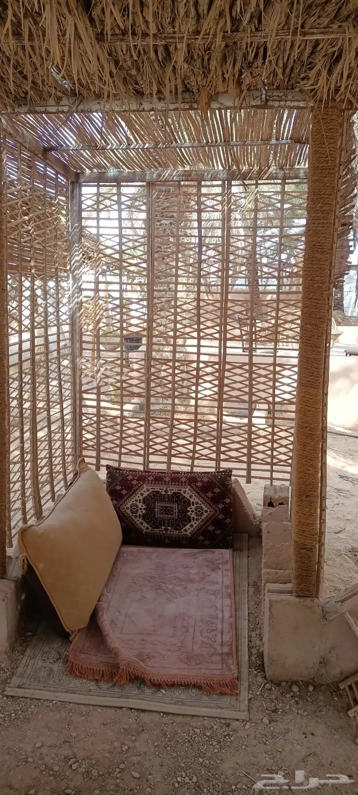 مظلات وسواتر سعف النخيل 56