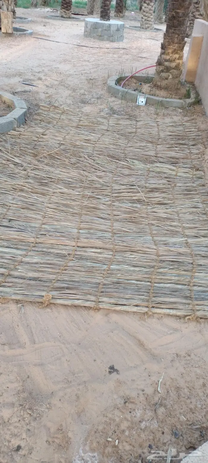 مظلات وسواتر سعف النخيل 59