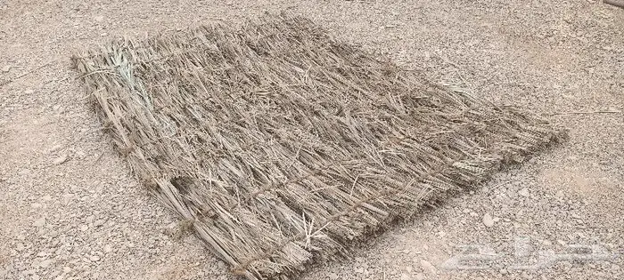 مظلات وسواتر سعف النخيل 46