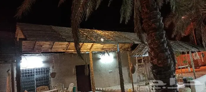 مظلات وسواتر سعف النخيل 53