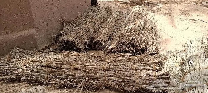 مظلات وسواتر سعف النخيل 49