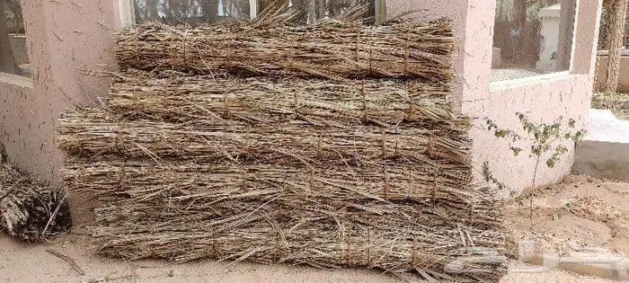 مظلات وسواتر سعف النخيل 50