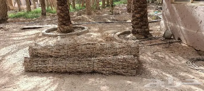 مظلات وسواتر سعف النخيل 51