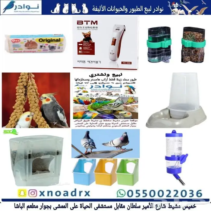 طيور سمك سلاحف ارانب هامستر قطط محل نوادر 27
