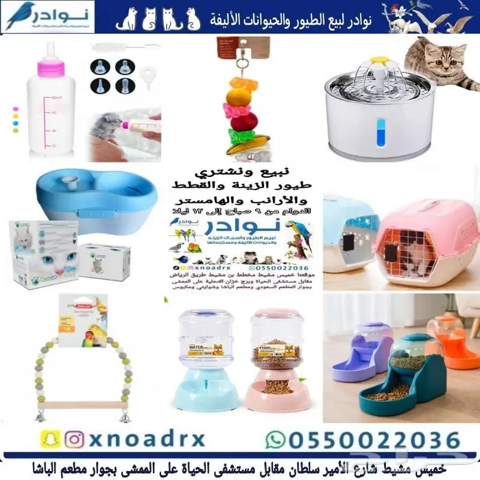 طيور سمك سلاحف ارانب هامستر قطط محل نوادر 29